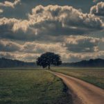 ニュープロのMPは学習のスピード成功に役立!